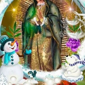 Meet your Posher, Constantino